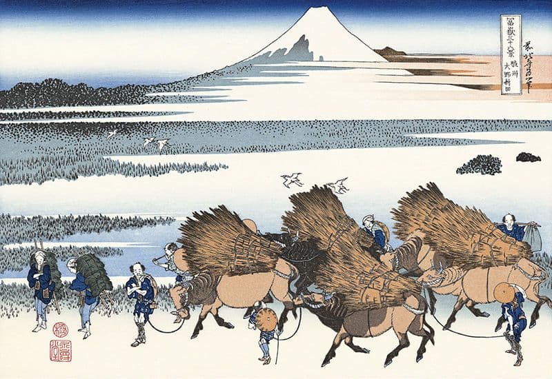 駿州大野新田