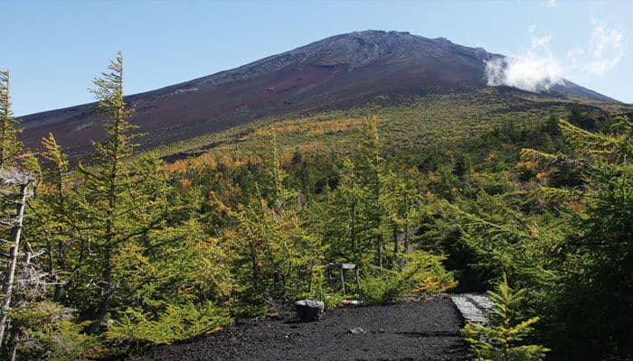 御庭からの景色