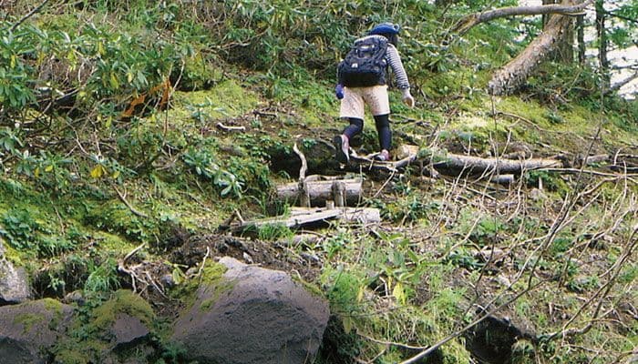 大沢崩れまでの登山ルート